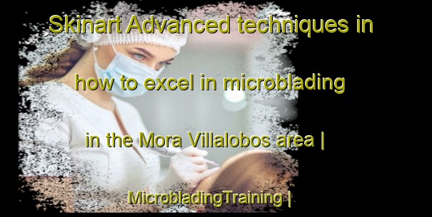 Skinart Advanced techniques in how to excel in microblading in the Mora Villalobos area | MicrobladingTraining | MicrobladingClasses | SkinartTraining-Mexico